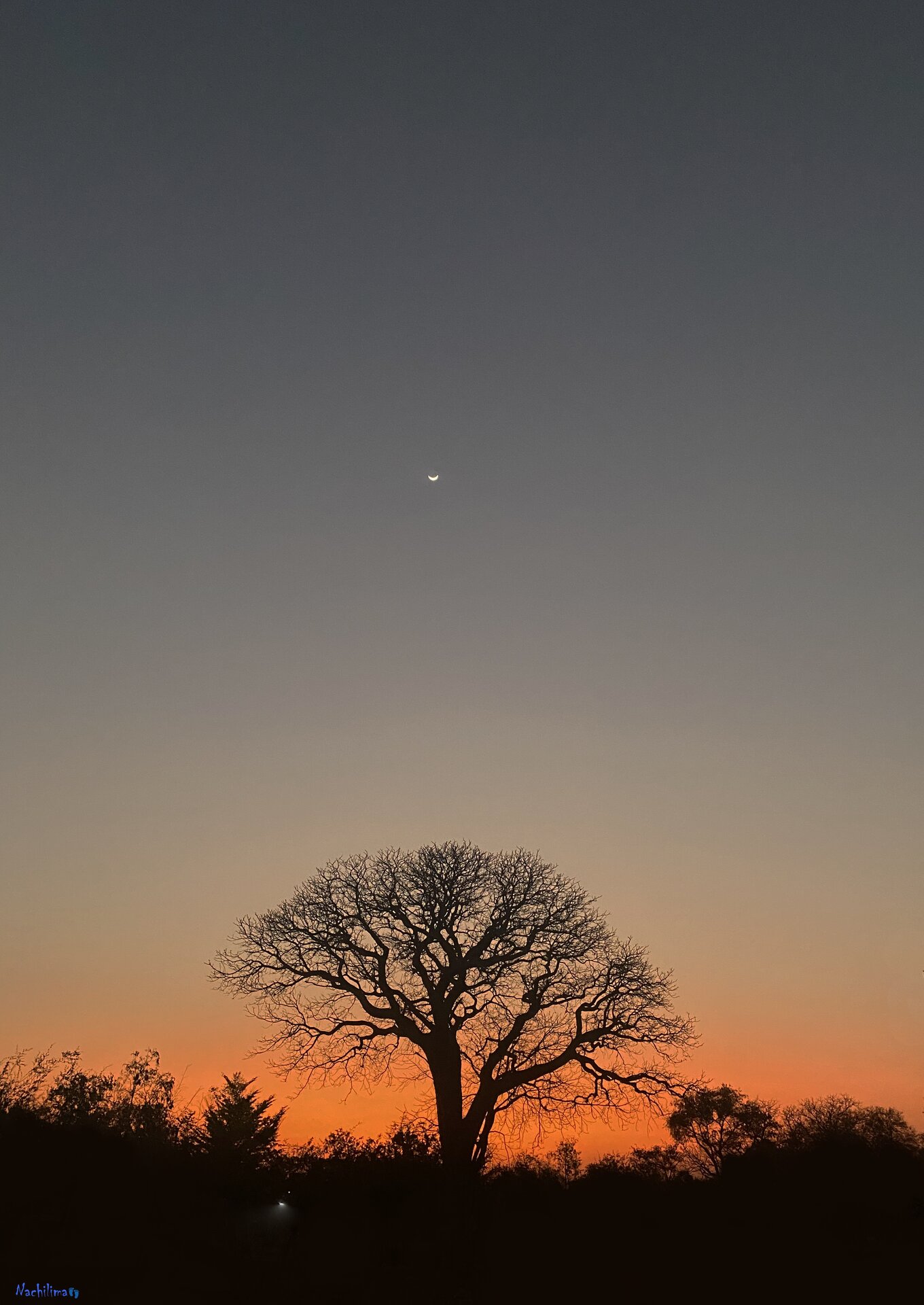 I'll Leave the Light On — Nachilima