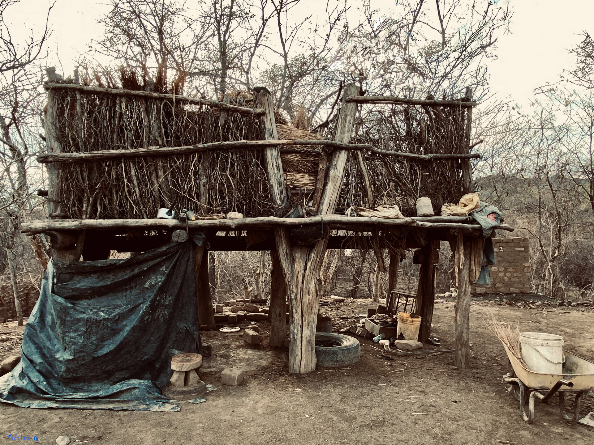 Miscellaneous — Nachilima