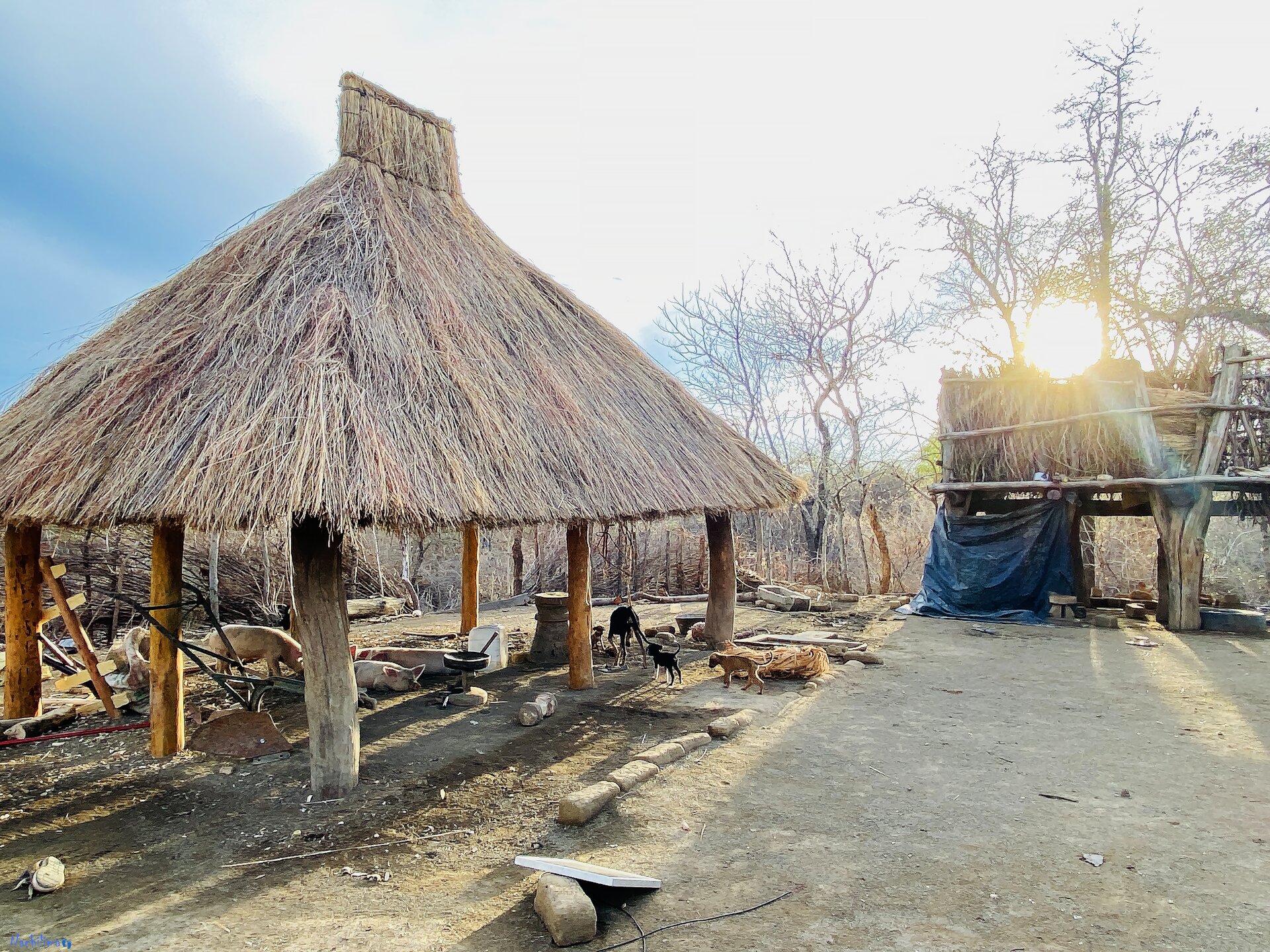 Shed — Nachilima